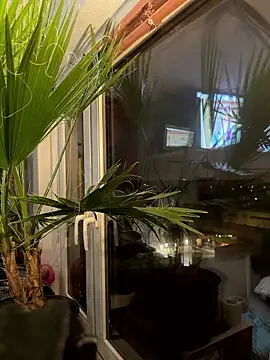 Snapshot of pillepallex84x chatting on January 9, 4:54 pm pillepallex84x online show from January 9, 4:54 pm