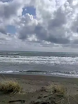 dhaadhawe online show from March 21, 11:59 am