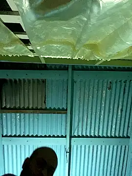 islandvybee55 online show from January 12, 7:24 am