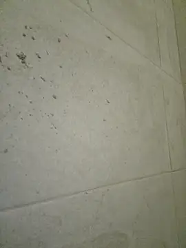 seloloko20 online show from September 19, 6:59 am