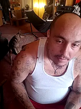 wilsons12 online show from April 13, 10:26 pm