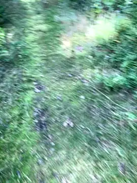 Snapshot of Zbochunec chatting on September 13, 11:43 am Zbochunec online show from September 13, 11:43 am