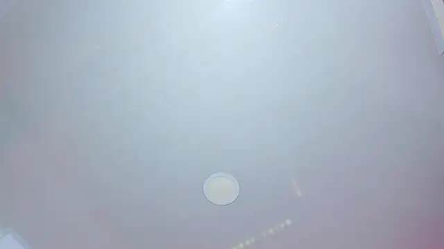 Daisy  rose online show from March 20, 3:00 am