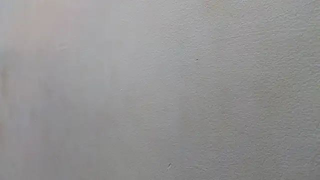 Snapshot of JESSYCORTES chatting on January 15, 8:48 pm JESSYCORTES online show from January 15, 8:48 pm