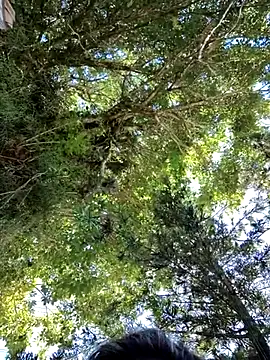 giselxxx hot online show from March 12, 2:34 pm