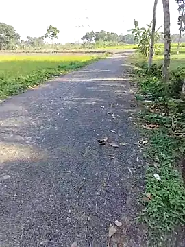 Snapshot of dick_01728 chatting on April 11, 9:57 am dick 01728 online show from April 11, 9:57 am