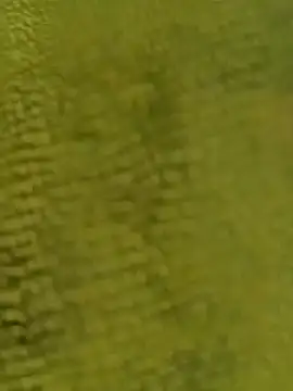 sadunt online show from December 17, 9:26 am