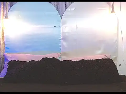 tylor boy online show from January 7, 4:26 am