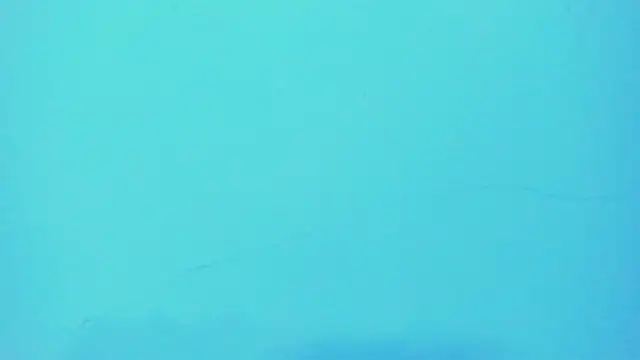  hairybeard  online show from January 28, 2:10 pm