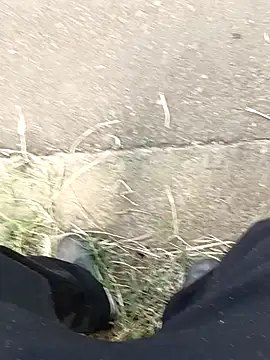 C vas  online show from December 11, 12:02 pm