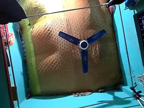 Snapshot of hotbaby_5 chatting on December 14, 9:29 am hotbaby 5 online show from December 14, 9:29 am