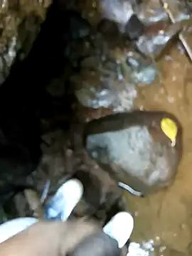 dpkpaksudda online show from September 24, 7:12 am