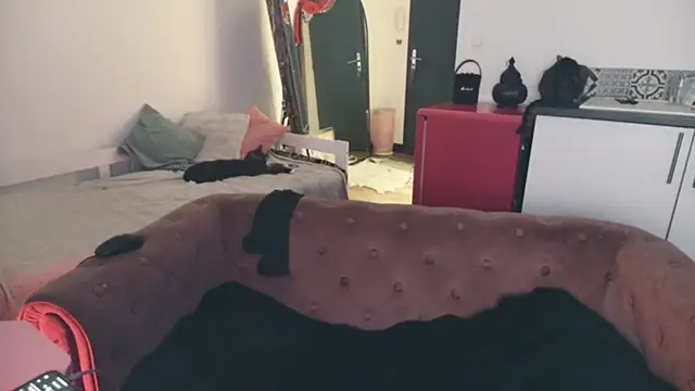 ce leste   online show from January 10, 6:59 am