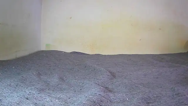 fern tlk online show from December 24, 7:11 pm