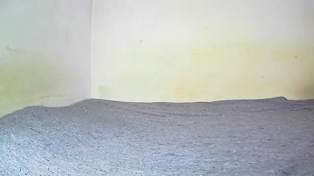 fern tlk online show from January 19, 7:58 pm