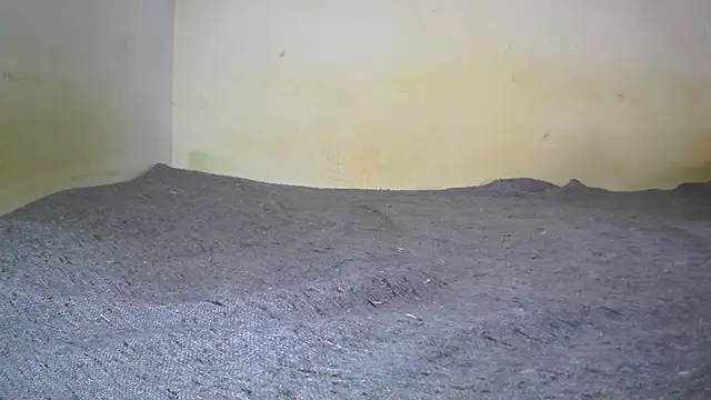 fern tlk online show from February 1, 5:28 am