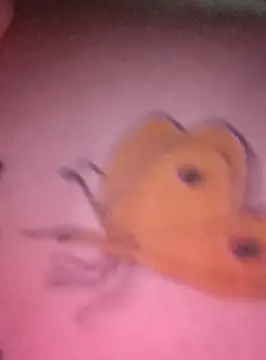 Nadia-2 online show from January 24, 12:20 am