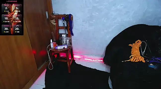 mysteery katty  online show from December 16, 9:31 pm