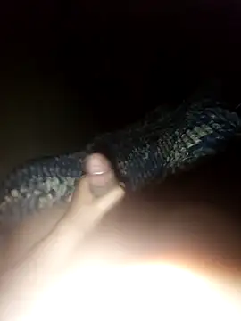 ch   ro69 online show from October 18, 3:31 am