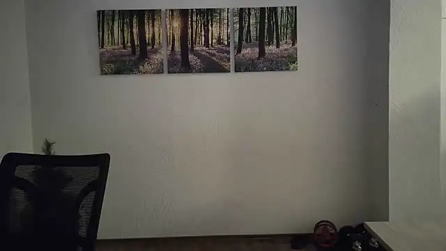 Snapshot of Harry_Boldt chatting on February 8, 9:04 pm Harry Boldt online show from February 8, 9:04 pm