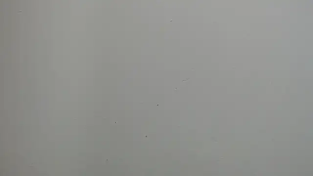 sussy leon online show from March 18, 12:25 pm