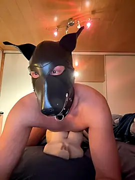 Snapshot of PlayDog123 chatting on November 27, 4:42 pm PlayDog123 online show from November 27, 4:42 pm