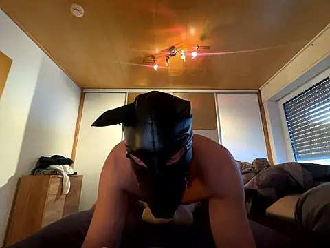 Snapshot of PlayDog123 chatting on January 11, 1:49 pm PlayDog123 online show from January 11, 1:49 pm
