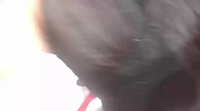 viki mom online show from January 21, 10:08 pm