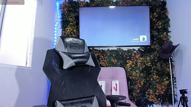 emily palmeer online show from April 19, 12:04 pm