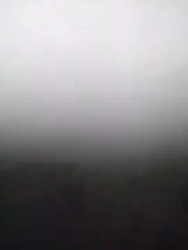 heartless  95 online show from February 15, 3:36 am