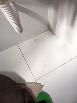 lobomisterioso13 online show from March 14, 12:07 pm