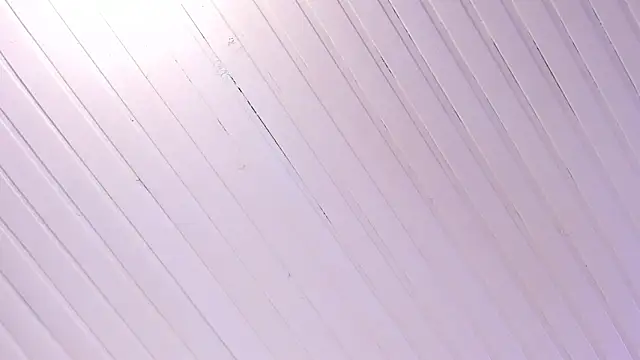 Ammy nova online show from November 1, 8:11 pm