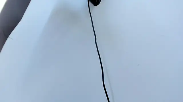 AbigailWilliams  online show from October 18, 11:11 am