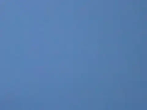 ToonyDee online show from January 13, 5:55 am