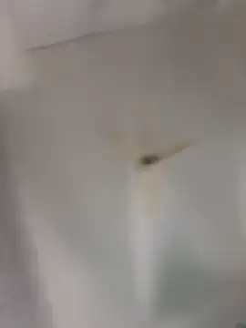 Snapshot of playboy_30 chatting on November 16, 9:04 am playboy 30 online show from November 16, 9:04 am