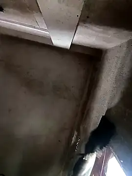 NICK IN online show from October 30, 3:52 am