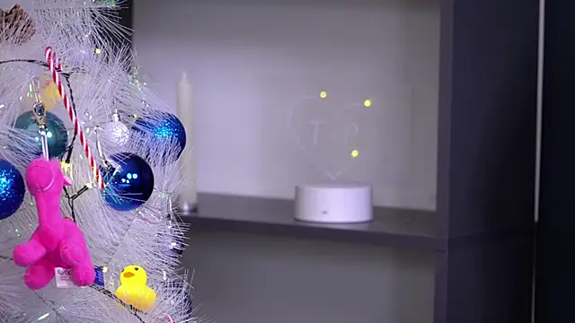 Snapshot of PollyBeev chatting on November 23, 7:30 am PollyBeev online show from November 23, 7:30 am