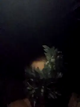 Buffshagswell online show from September 15, 5:29 am