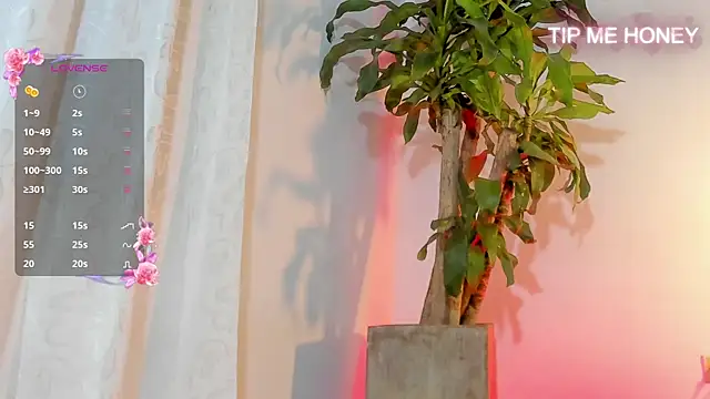 juanmiss online show from February 3, 9:41 am