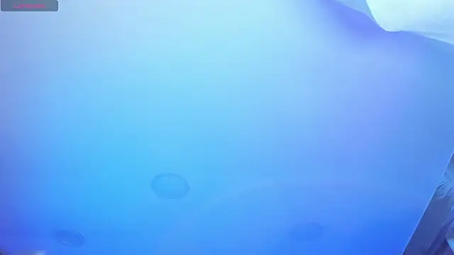 Snapshot of AHRI_LEE chatting on December 21, 3:58 am AHRI LEE online show from December 21, 3:58 am