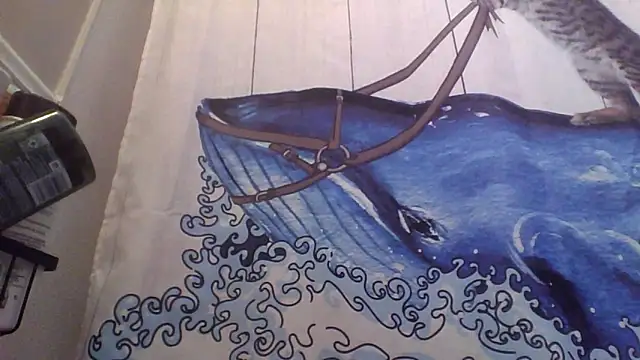 Snapshot of clitstitsandbongrips chatting on September 16, 6:03 am clitstitsandbongrips online show from September 16, 6:03 am