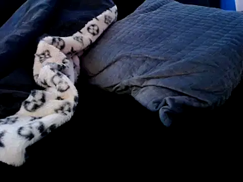 Niquitasparkles online show from December 22, 9:31 pm