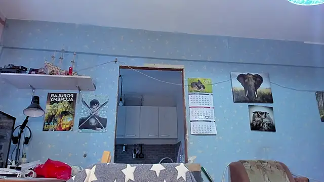 teddy alan online show from January 26, 11:28 am