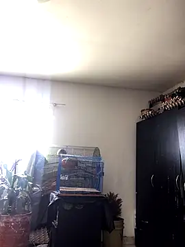 Miss oliviaa online show from October 22, 2:06 pm