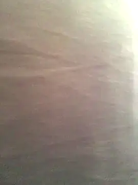 Miss oliviaa online show from November 13, 3:33 pm