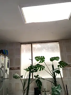 Miss oliviaa online show from November 26, 5:14 pm