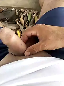 jicormar online show from November 11, 3:56 pm