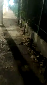 spacegirlll online show from March 14, 8:10 am