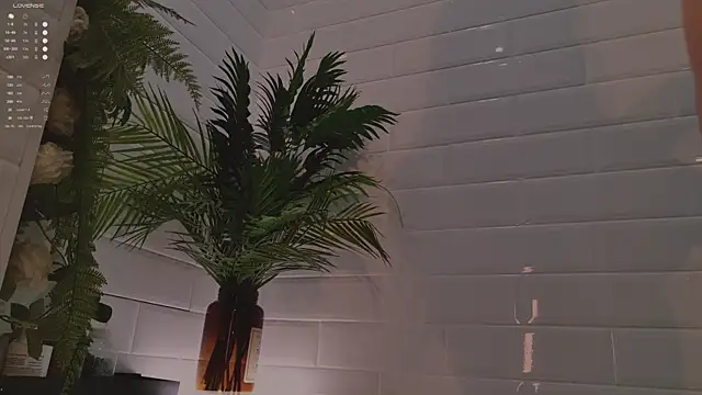 MichaellaMoon online show from December 3, 2:15 pm