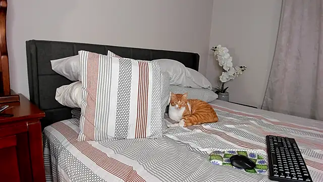 Angel 1997 online show from February 18, 11:30 pm